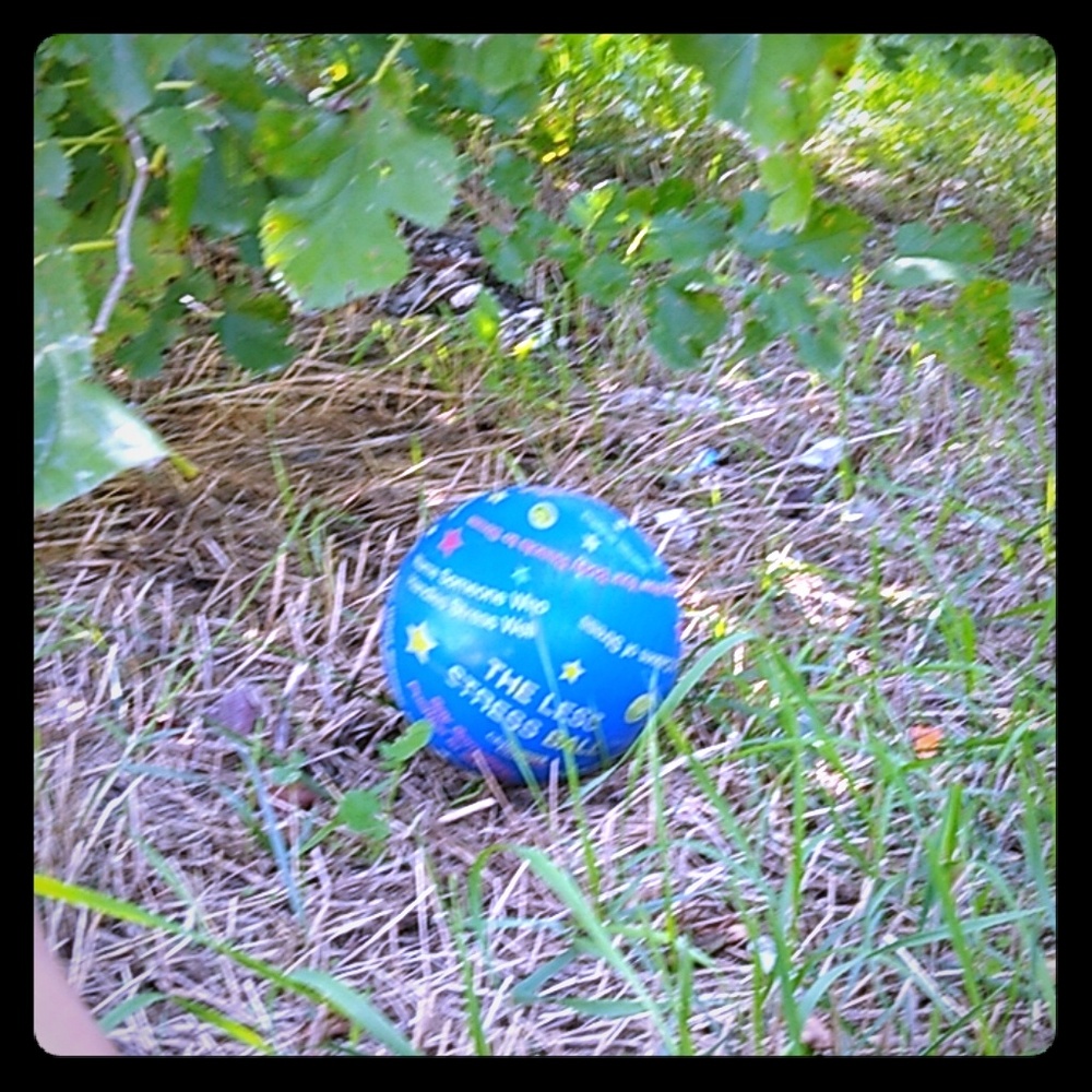 Happy bonce ball